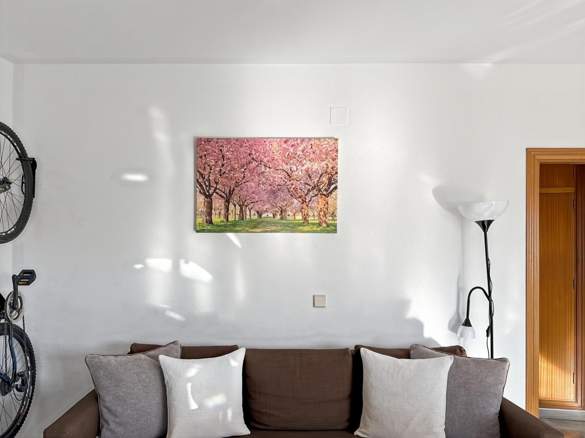 Exclusive Malaga Apartments With Cathedral Views And Auto Check-In المظهر الخارجي الصورة